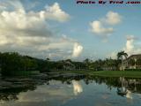 Lake Perspective With Plant Life, St. Tropez Apartments