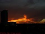 Trumpet of Sunset Fire, From Sawgrass Mills, Sunrise