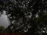 It's About to Rain...  Evening at Plantation, Florida