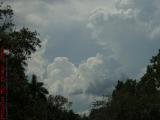 Kissing Clouds, Plantation Ponte, Florida
