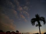 Leaning Tree on Gloaming Sky, St. Tropez Apts., Plantation