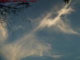 Cloud Creatures Setting Off on Adventure, Plantation