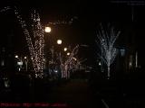 Newbury Street Lighting, Boston, Massachusetts