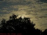 Pillowed Clouds in Early Morning Sun, Plantation, Florida