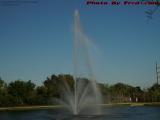 Innocent Rainbow Flag, Plantation Pointe Fountain