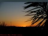 Sawgrass Mills Parking Perspective, Moments After Sunset